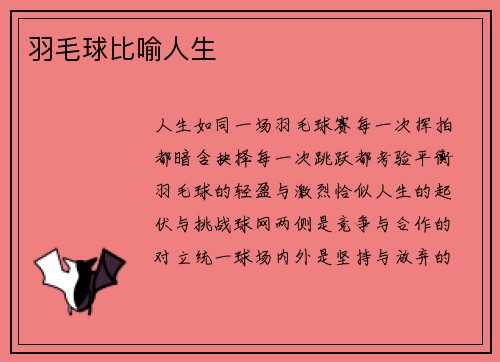 羽毛球比喻人生